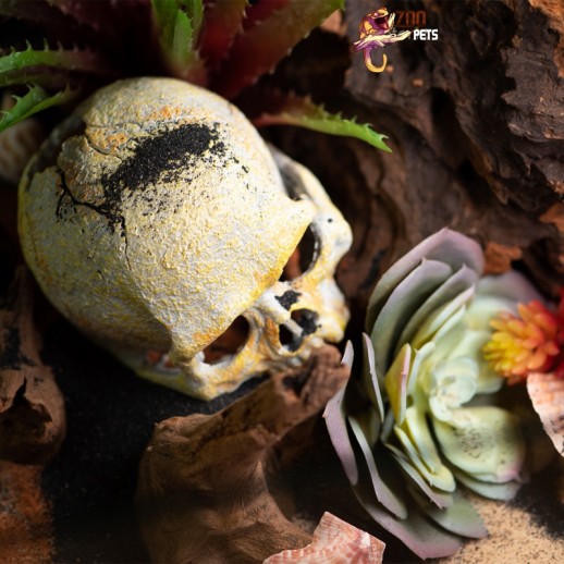 Enfeite Caveira em Resina