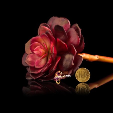 Suculenta Artificial para Terrários