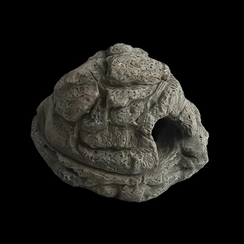 toca úmida para répteis