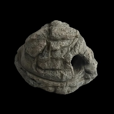 toca úmida para répteis