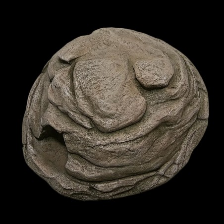 comprar toca umida repteis