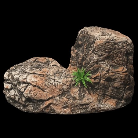 Pedra Aquecida Iguana Pogona