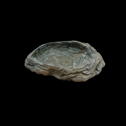 bebedouro comedouro jabutis