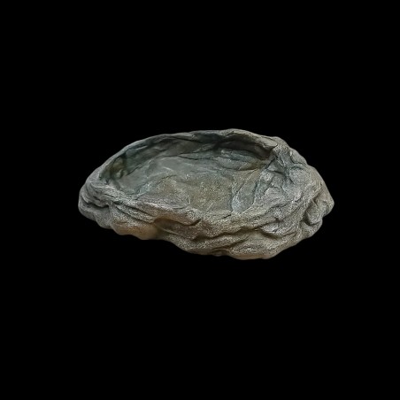 bebedouro comedouro jabutis