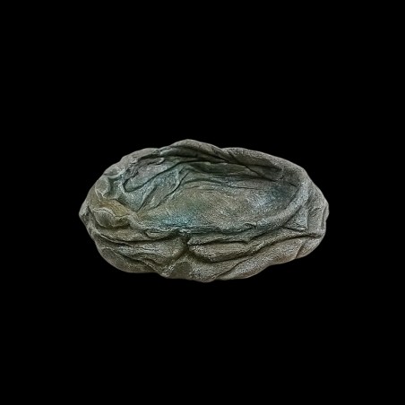 bebedouro para jabutis repteis