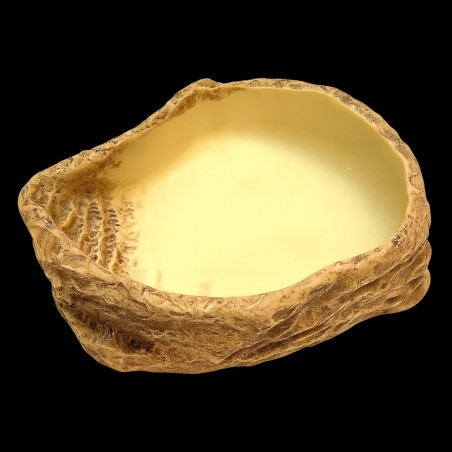 Bebedouro exoterra répteis