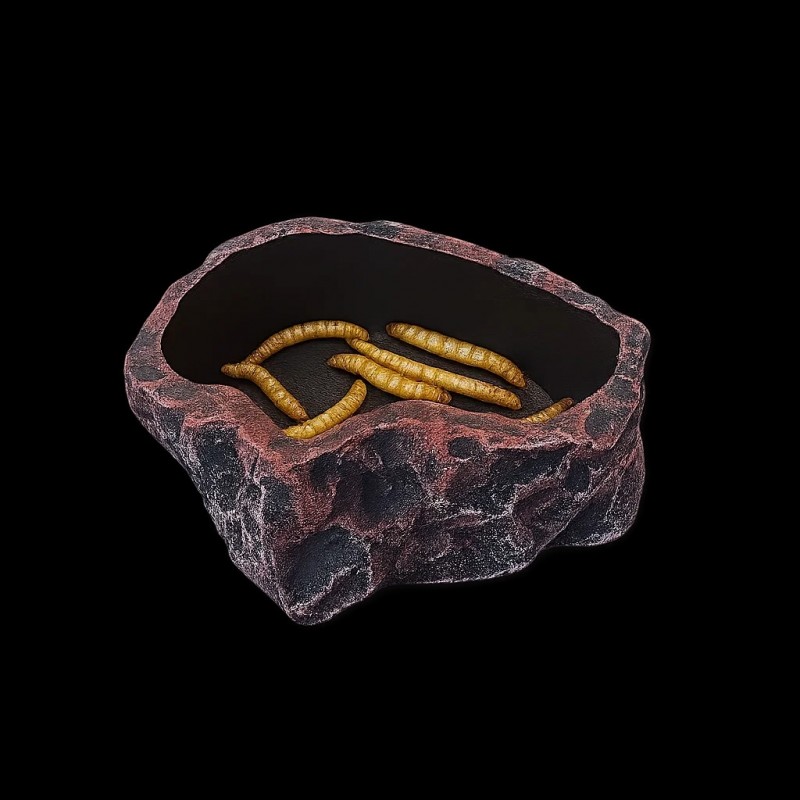 Comedouro Répteis Segura Larvas Tenébrios