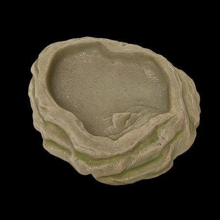 Bebedouro Lago Répteis