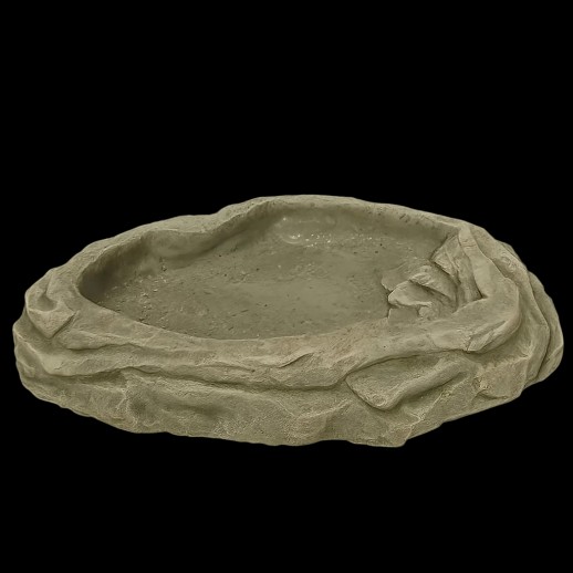 Lago para Cobra Répteis