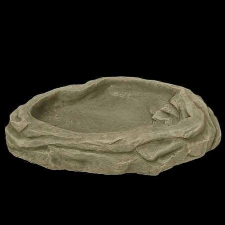 Lago para Cobra Répteis