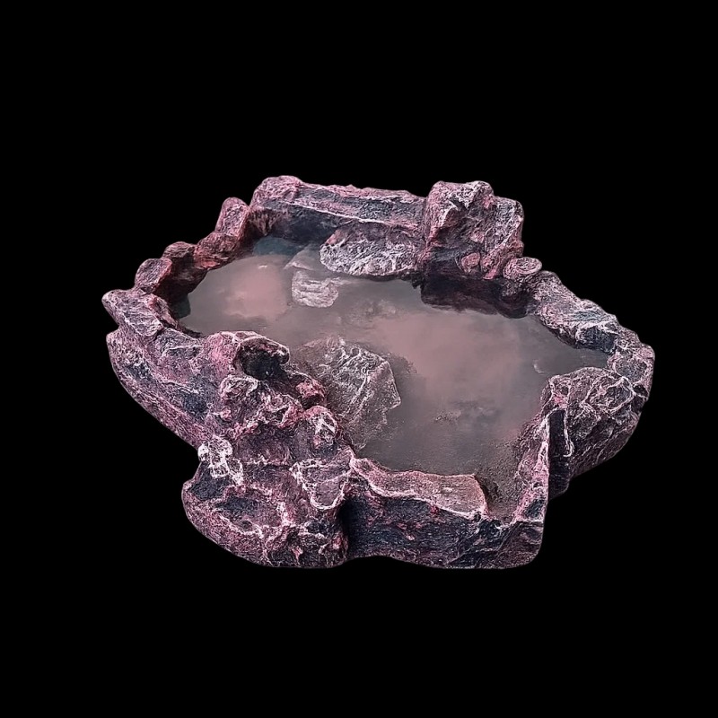 Bebedouro Répteis Leopard gecko