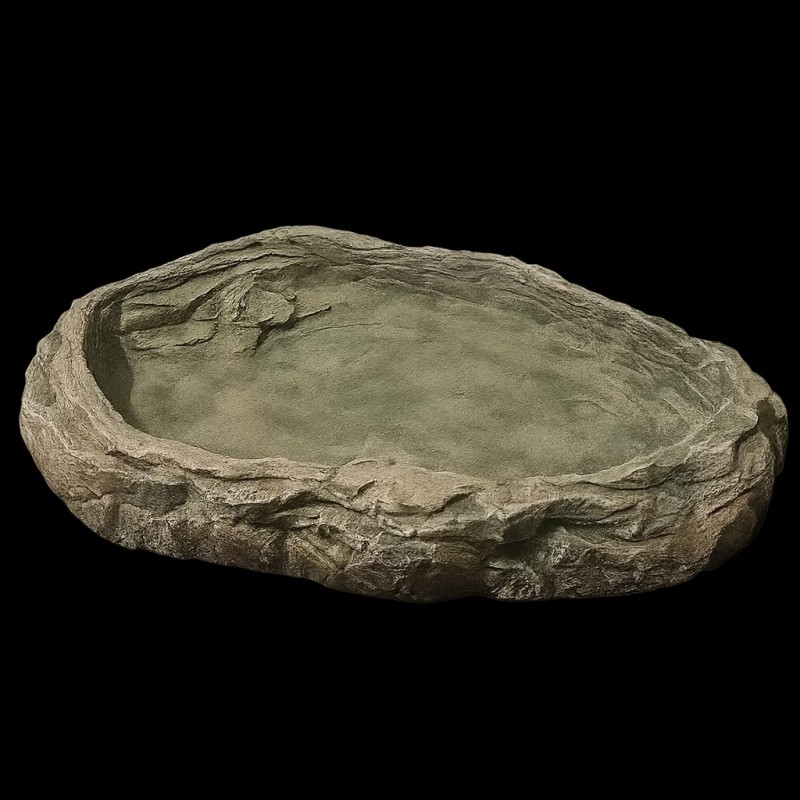 Lago para Pássaros e Répteis