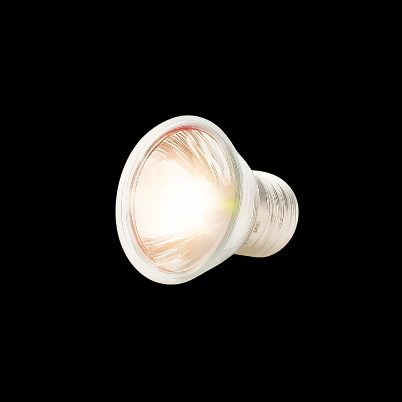 Lâmpada para Tartaruga