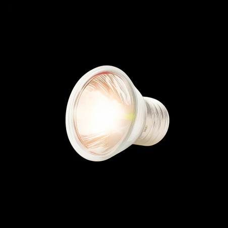 Lâmpada para Tartaruga