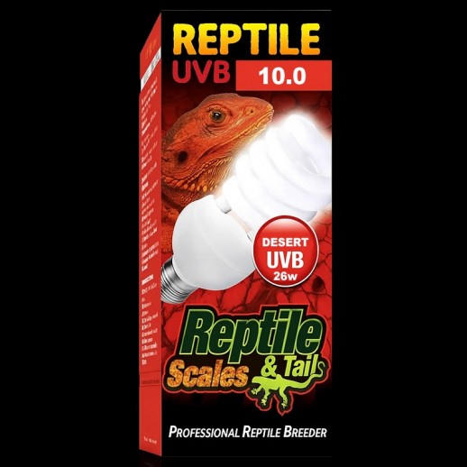 Lâmpada UVB Répteis Pogona