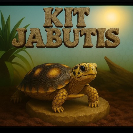 Kit para Jabutis Lâmpada e Terrário