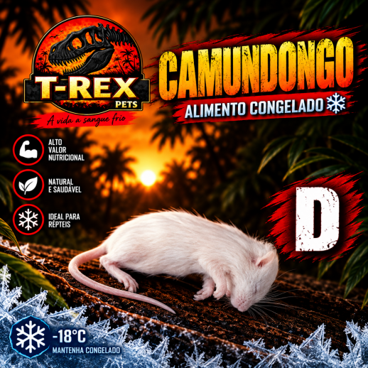 Rato Camundongo congelado