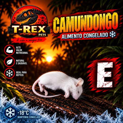 Rato alimento para cobra