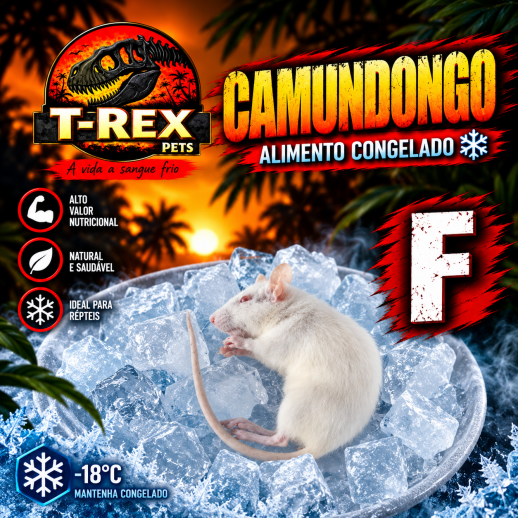 Camundongo Alimento Vivo