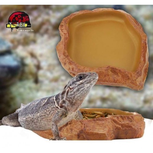 Feeding Dish Répteis | Iguana | Dragão | Gecko