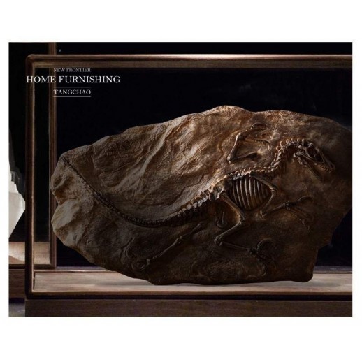 Fóssil Tiranossauro Rex