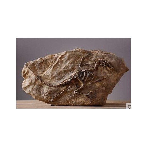 Fóssil Tiranossauro Rex