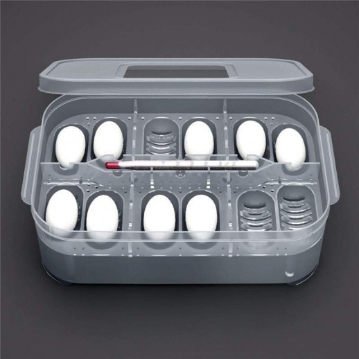 Bandeja de Incubação 12 ovos | Terrário