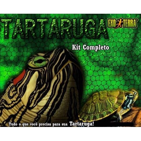 Kit Tartaruga Completo Répteis | Terrário