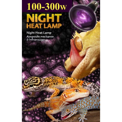 lâmpada leopard gecko comprar