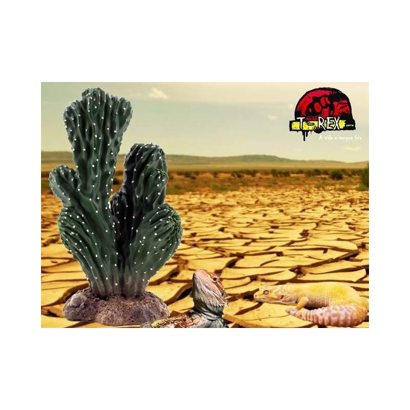 Cactus - TRX2130  Répteis | Terrário| Pogona