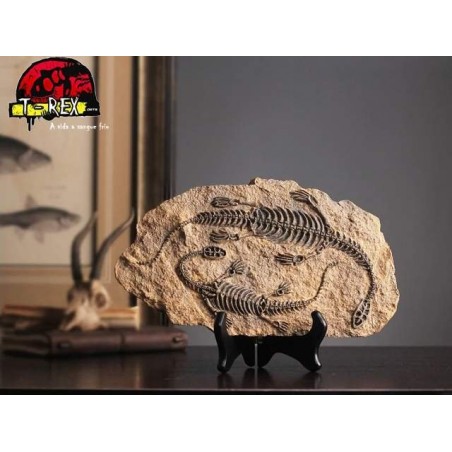 Fóssil Dinossauro - Jurassic Park - Réplica Dinossauro