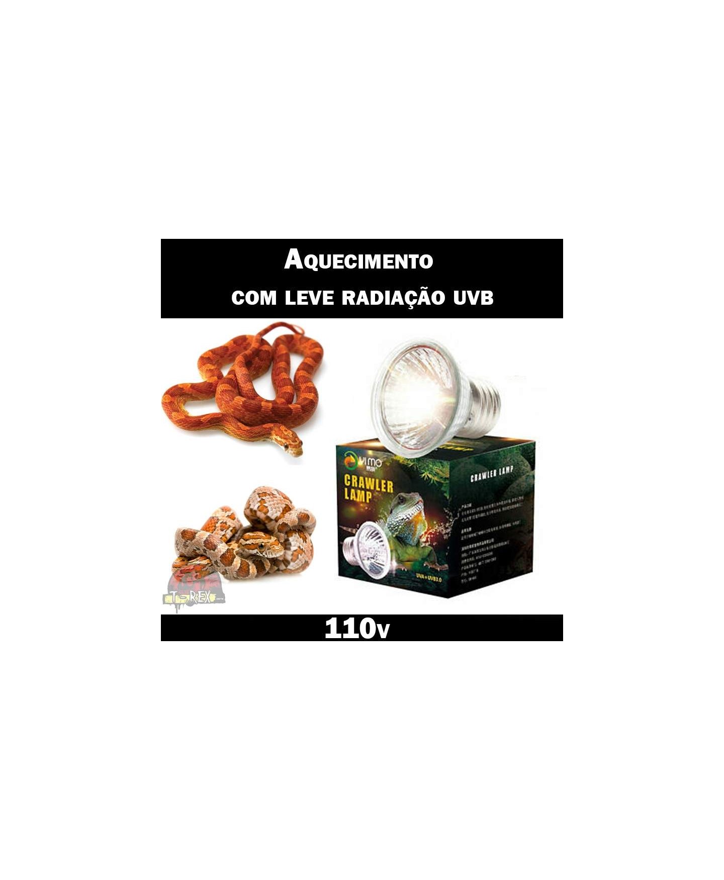 lampada para cornsnake