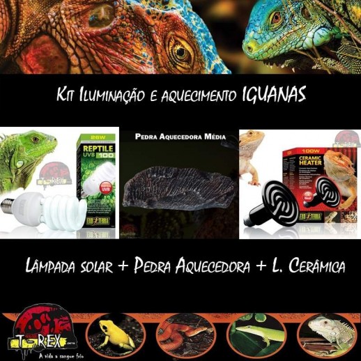 Lâmpada Uvb para Iguana