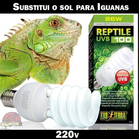 Lampada UVB para Iguanas