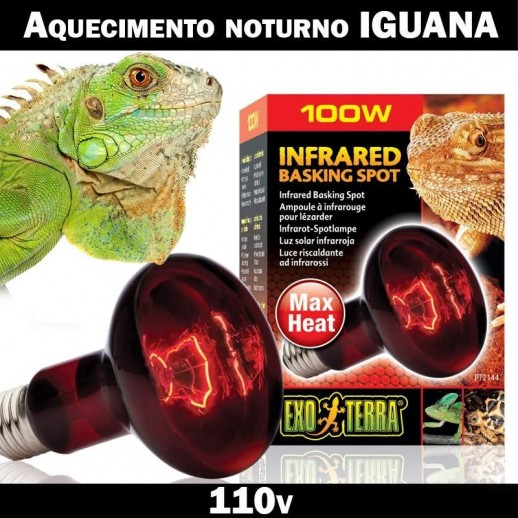 Aquecimento Terrário Iguana