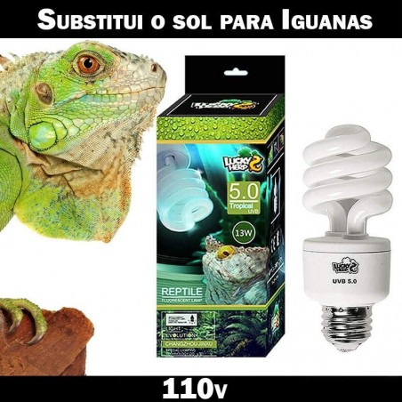 Lampada para répteis iguana uvb