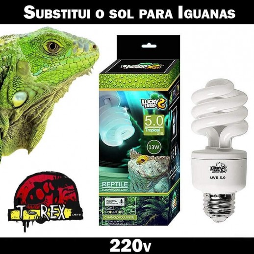Lâmpadas uvb para iguanas