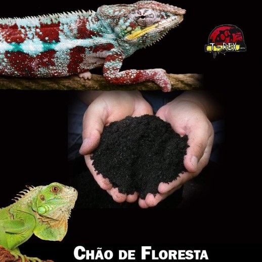 substrato iguana jabuti repteis