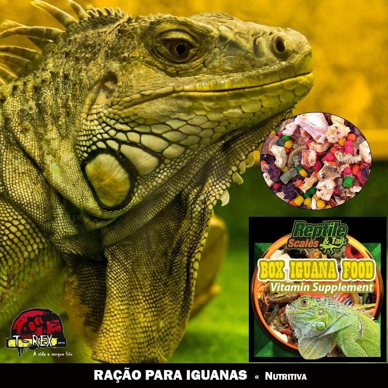 ração para iguana