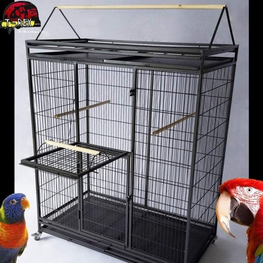 viveiro para ring neck papagaio calopsita