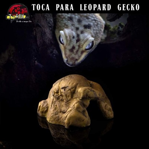 toca para repteis leopard gecko