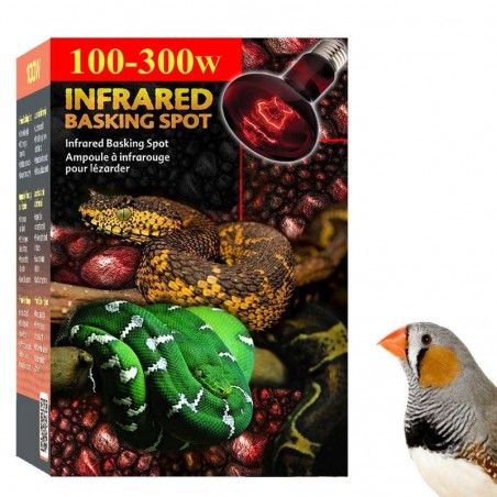 Lâmpada para Aquecer Passarinhos