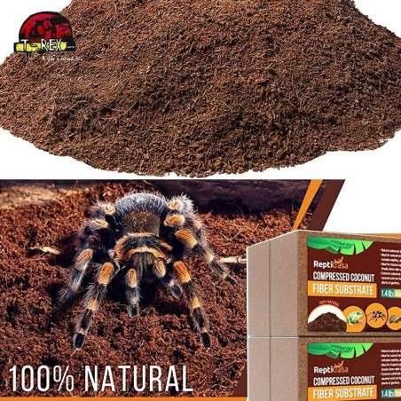 substrato para aranha e répteis