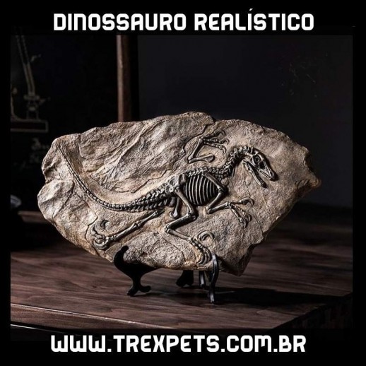 Fóssil de dinossauro realista resina